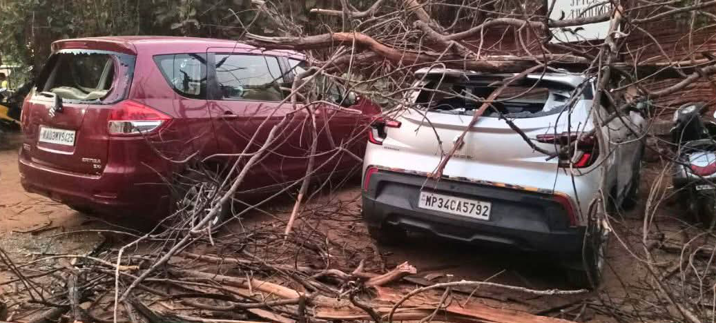 A dry tree fell on four parked cars near the W Goa hotel at Vagator