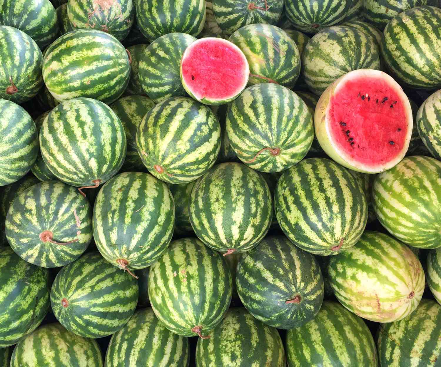 FDA Cracks Down To Ease ‘Watermelon Panic’ In Goa.